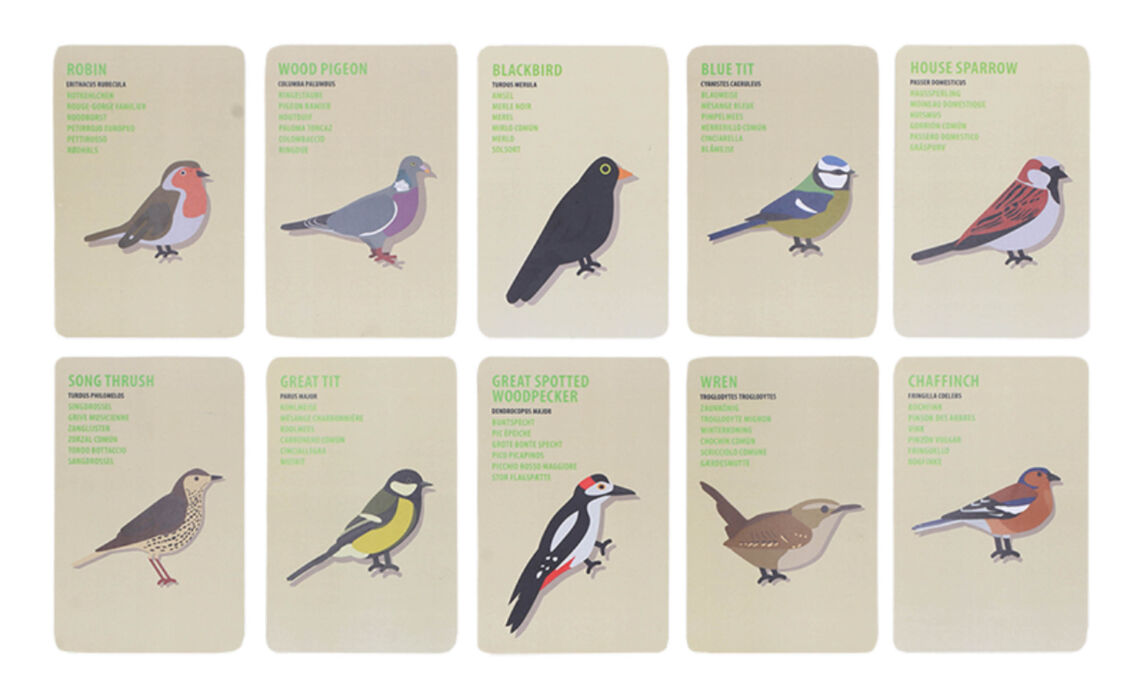 ED-KG309 Ontdekkerstas vogels sfeer 1