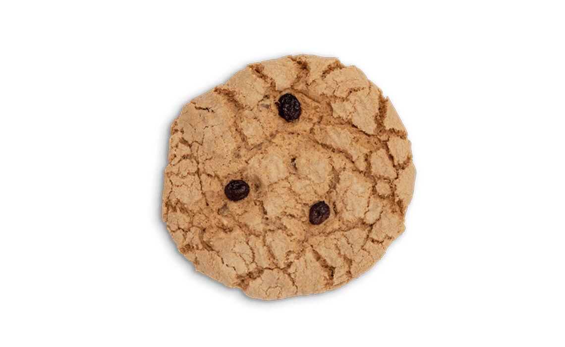 VE-7438252433445_ Cranberry koek 250 gram