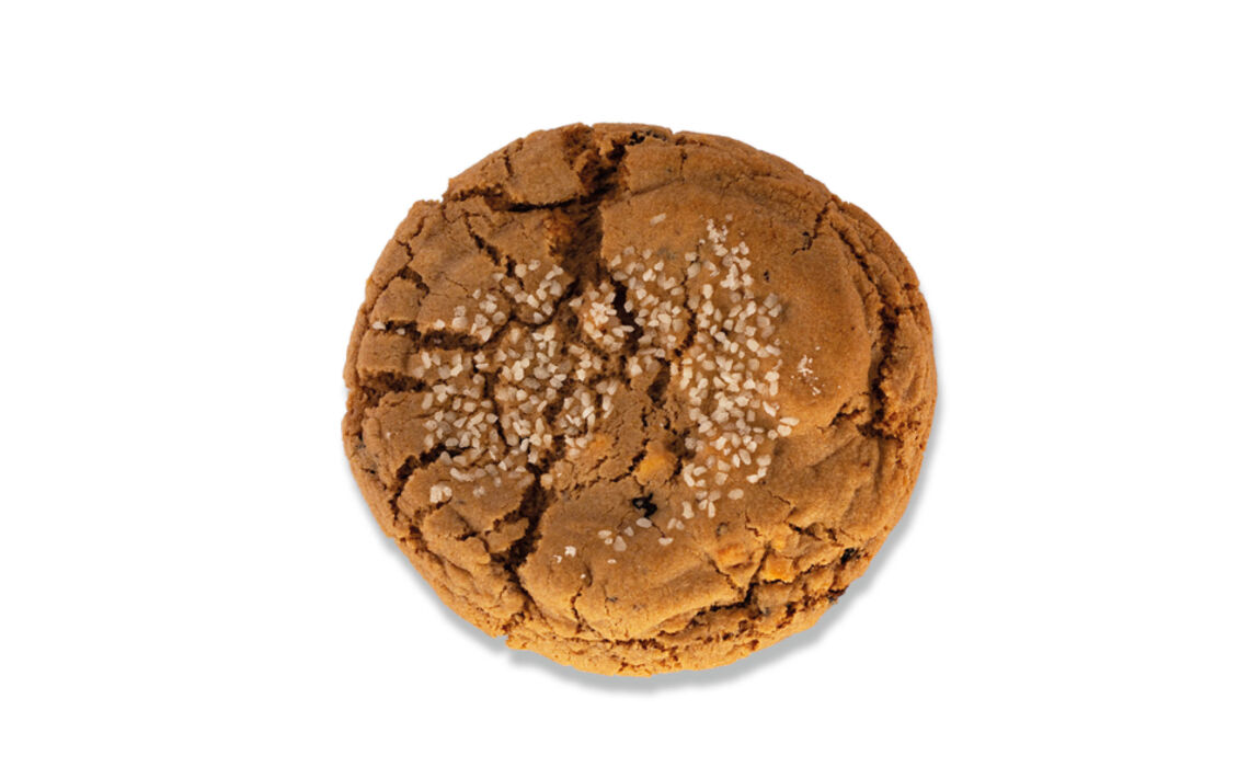 VE-8785256864782_ Oliebollenboek 250 gram