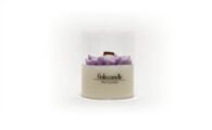 FC-GKPL Pure Lavender S_ Geurkaars Fiola Candle s