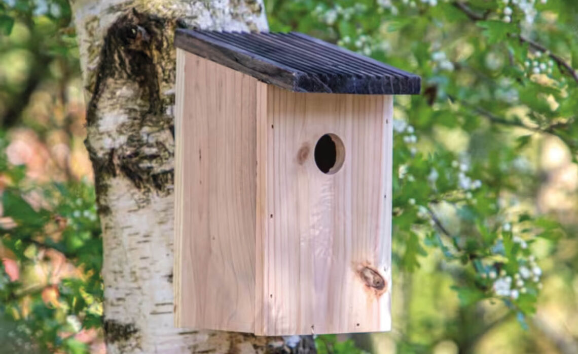 TP-LT94549 Vogelhuisje rustiek SFEER