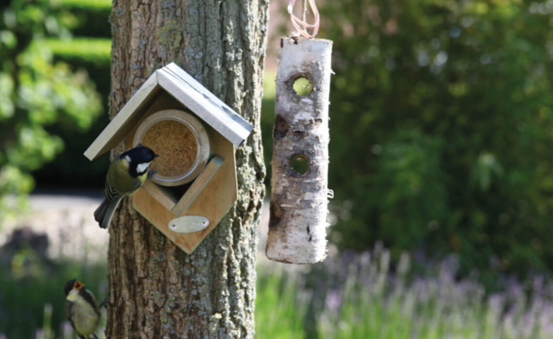 ED-FB261 Vogelpindakaas sfeer