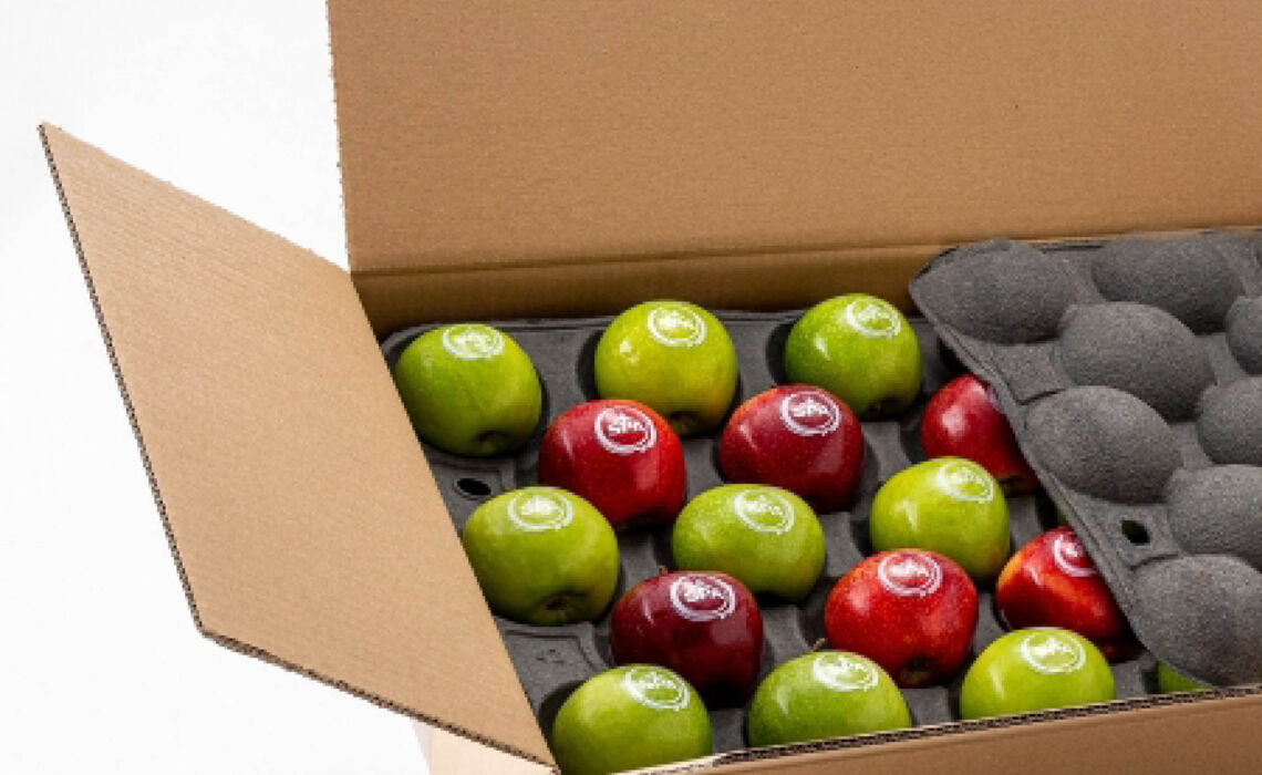 PR-555001 rood Appel met bedrukking sfeer