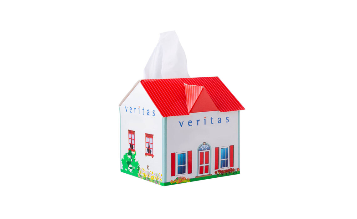 PC-9535_ Tissue box in huis vorm
